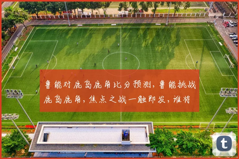 鲁能对鹿岛鹿角比分预测,鲁能挑战鹿岛鹿角,焦点之战一触即发,谁将问鼎